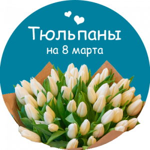 Купить тюльпаны в Братске